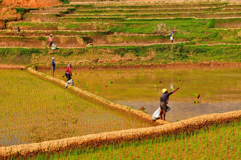 Ambositra to Antsirabe